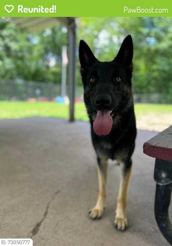 Reunited Male Dog last seen Near Bergen Blvd, Ridgefield, NJ 07657, Ridgefield, NJ 07657