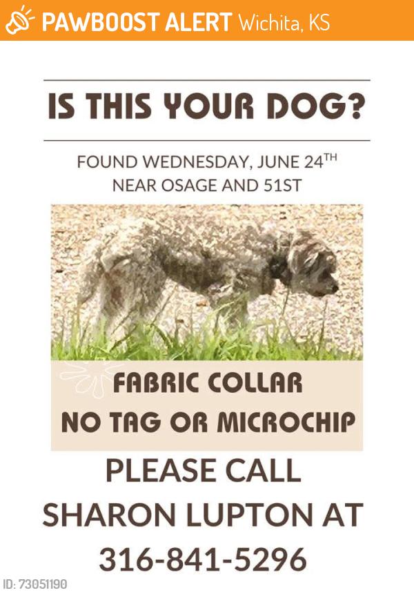 Found/Stray Male Dog last seen 51st and Osage, Wichita, KS 67217