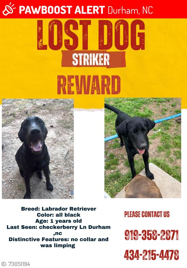 Lost Male Dog last seen Checkerberry Ln , Durham, NC 27703