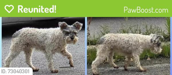 Reunited Female Dog last seen E Maple Grove Ave, Fort Wayne, IN 46806, USA, Fort Wayne, IN 46806