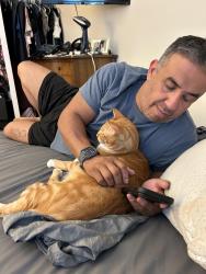 Lost Male Cat last seen Asheville hwy and strawberry plains, Knoxville, TN 37924