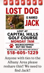 Reunited Male Dog last seen Capital Hills Golf Course, Albany NY, Albany, NY 12208