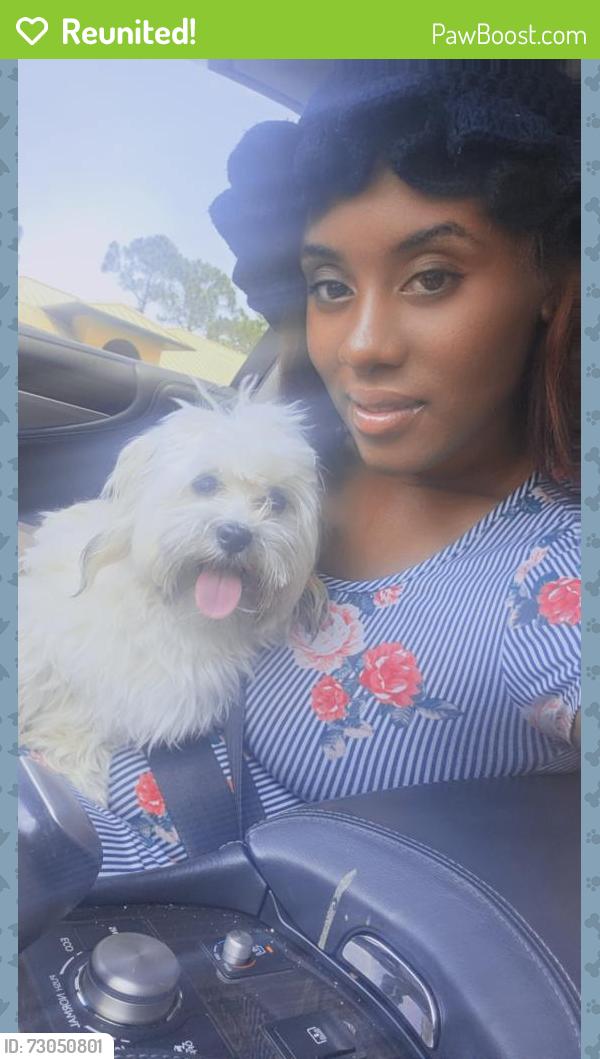 Reunited Male Dog last seen Emerson,Eldron,Walden,Waco, Palm Bay, FL 32909
