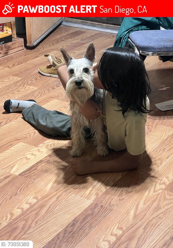 Lost Male Dog last seen Skyline, San Diego, CA 92114