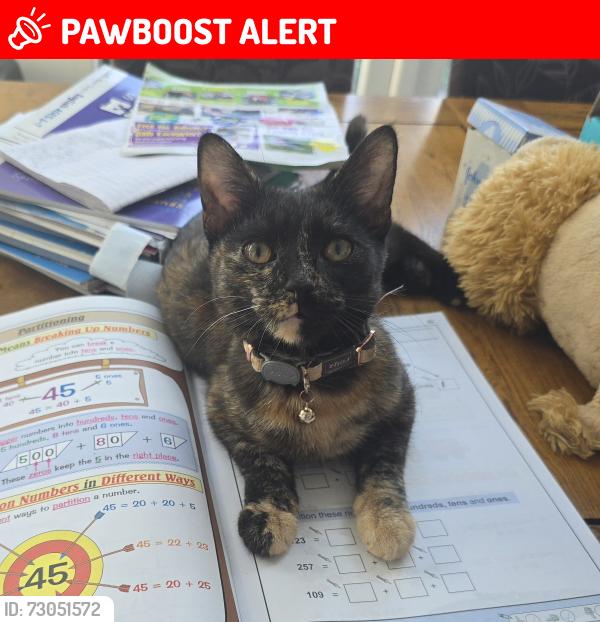 Lost Female Cat last seen Doncaster , South Yorkshire, England DN4 0BN