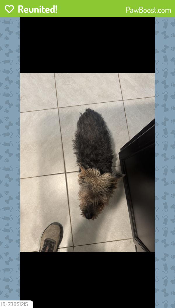 Reunited Male Dog last seen Emerson and Douglas, Palm Bay, FL 32909