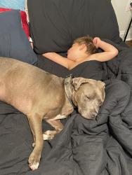 Lost Male Dog last seen Gardere ln @ Burbank dr, Baton Rouge, LA 70820