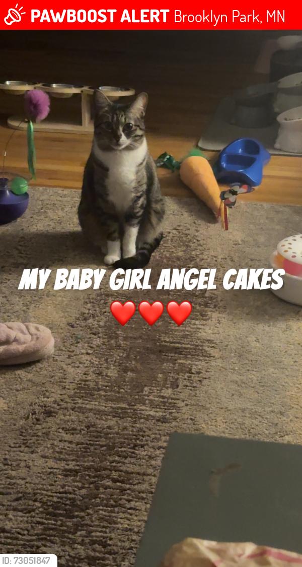 Lost Female Cat last seen 81st and xerxes, Brooklyn Park, MN 55444