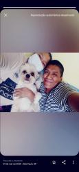 Lost Male Dog last seen Cruzeiro do sul, Canindé, SP 03033-060