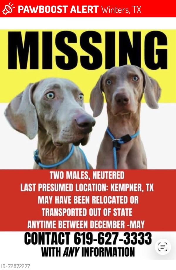 Lost Male Dog last seen Mobile has station, Winters, TX 79567