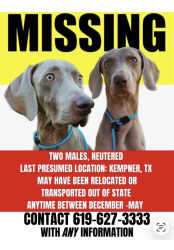 Lost Male Dog last seen Mobile has station, Winters, TX 79567