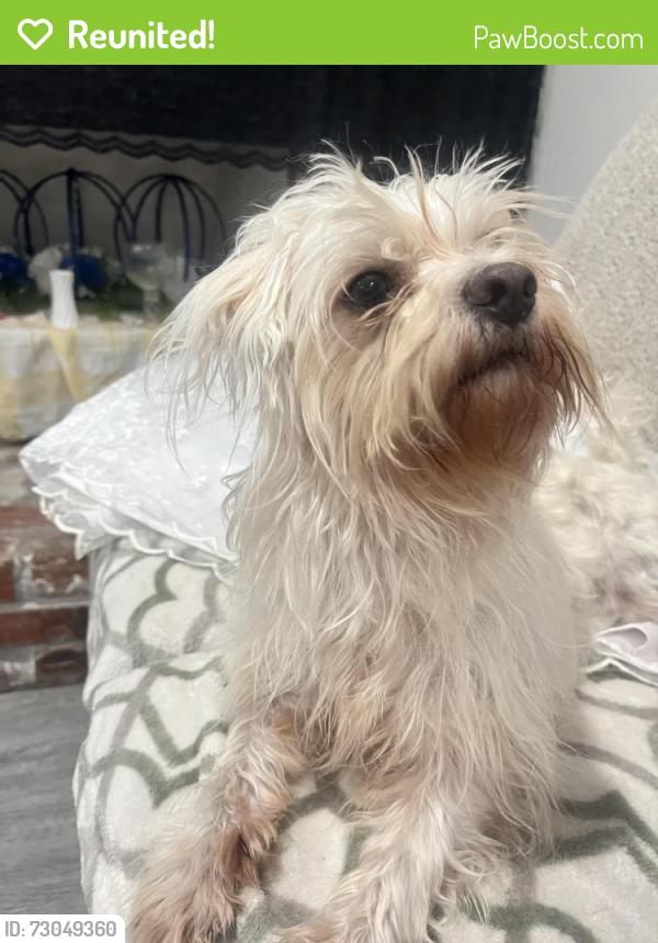 Reunited Female Dog last seen 4th street and Berlyn, Ontario, CA 91764
