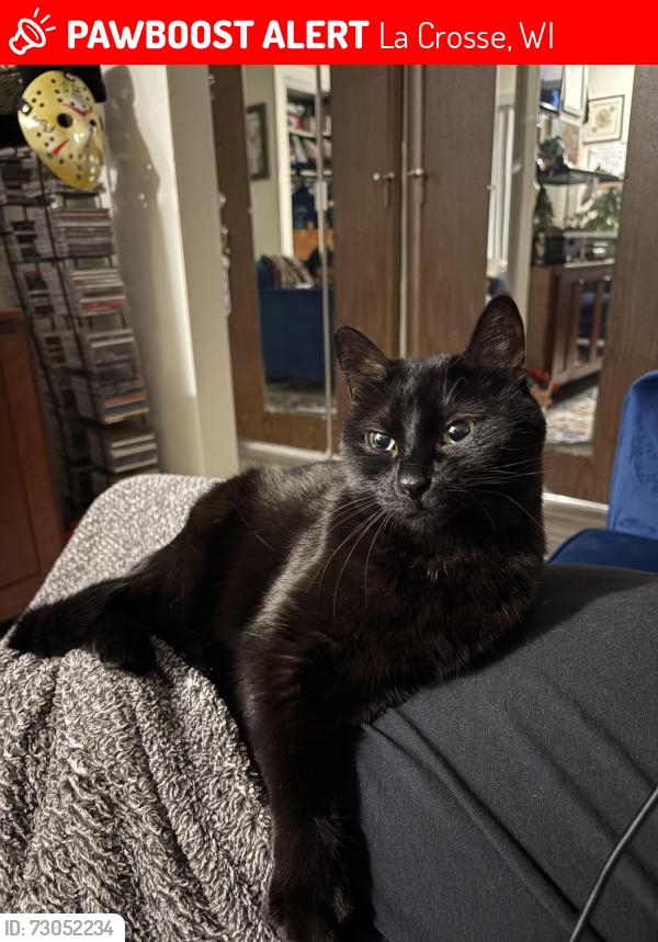 Lost Female Cat last seen Roesler Rd, La Crosse, WI 54669