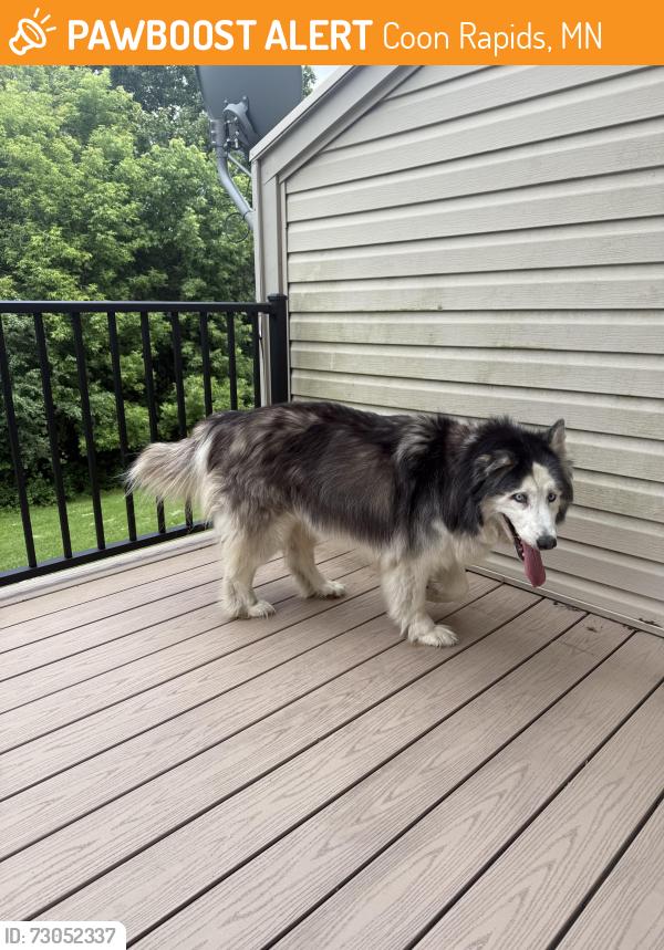 Found/Stray Unknown Dog last seen we have him in our hse, Coon Rapids, MN 55433