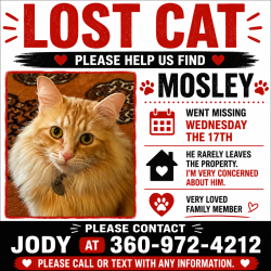 Lost Male Cat last seen Libby Rd, Olympia, WA 98506