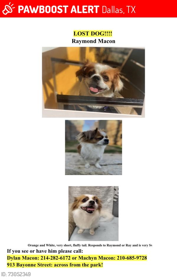 Lost Male Dog last seen Sylvan Avenue, Dallas, TX 75212
