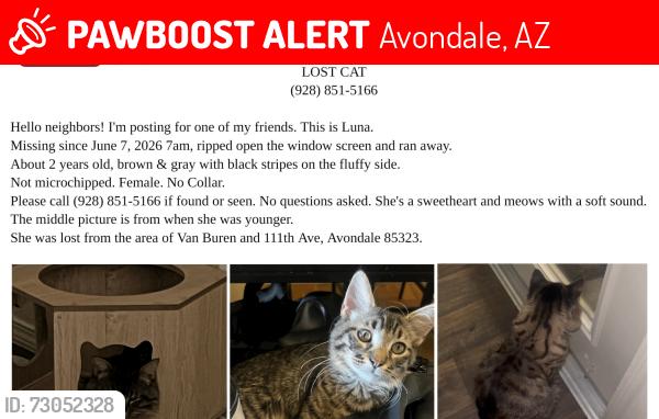 Lost Female Cat last seen 111th ave, Van Buren, Avondale, AZ 85323