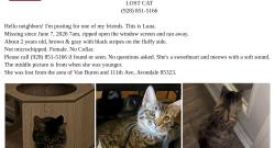 Lost Female Cat last seen 111th ave, Van Buren, Avondale, AZ 85323