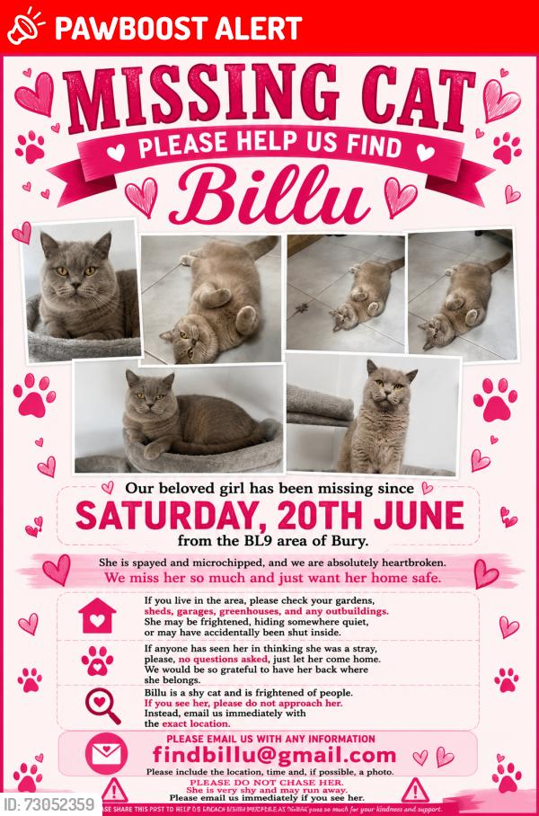 Lost Female Cat last seen James Street bury , Greater Manchester, England BL9 7EG