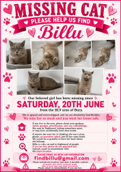 Lost Female Cat last seen James Street bury , Greater Manchester, England BL9 7EG