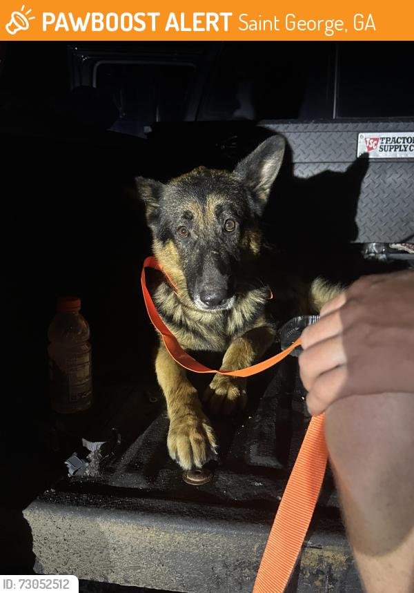 Found/Stray Male Dog last seen SR 121, Saint George, GA 31562
