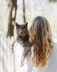 Lost Male Cat last seen Near Highland Rd, Baton Rouge, LA 70810