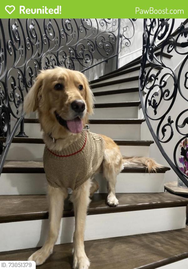 Reunited Male Dog last seen Studebaker & Florence, Downey, CA 90241