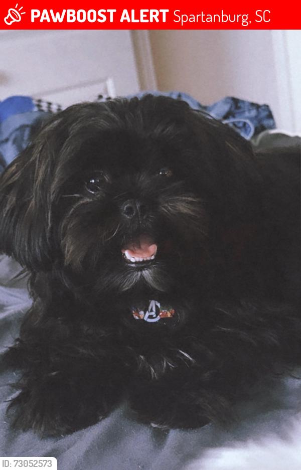 Lost Male Dog last seen Ezel blvd, Spartanburg, SC 29301