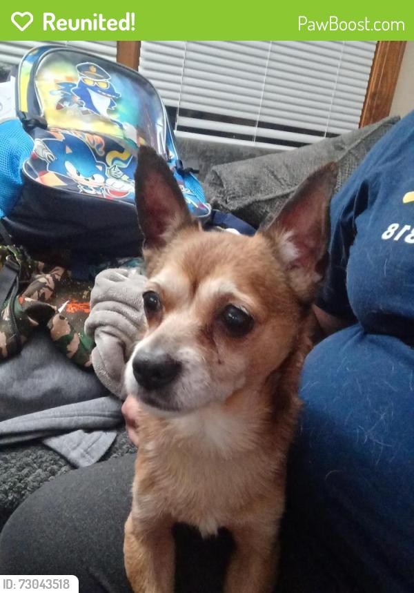 Reunited Male Dog last seen 3rd Ave and 4th ave , Calhoun st, King st, Gary, IN 46406