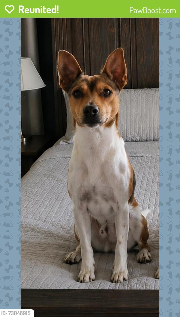 Reunited Male Dog last seen Pleasant Vally North church on Sold Summerville (Armuchee), Rome, GA 30165