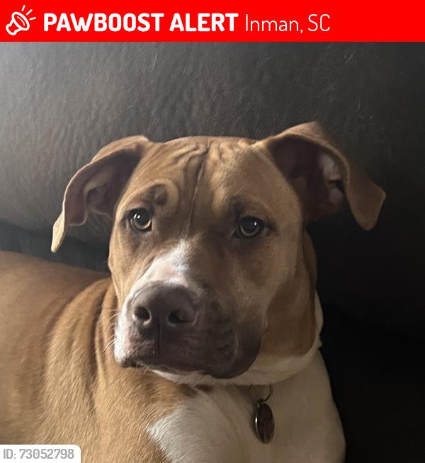 Lost Female Dog last seen Dickson, Inman, SC 29349