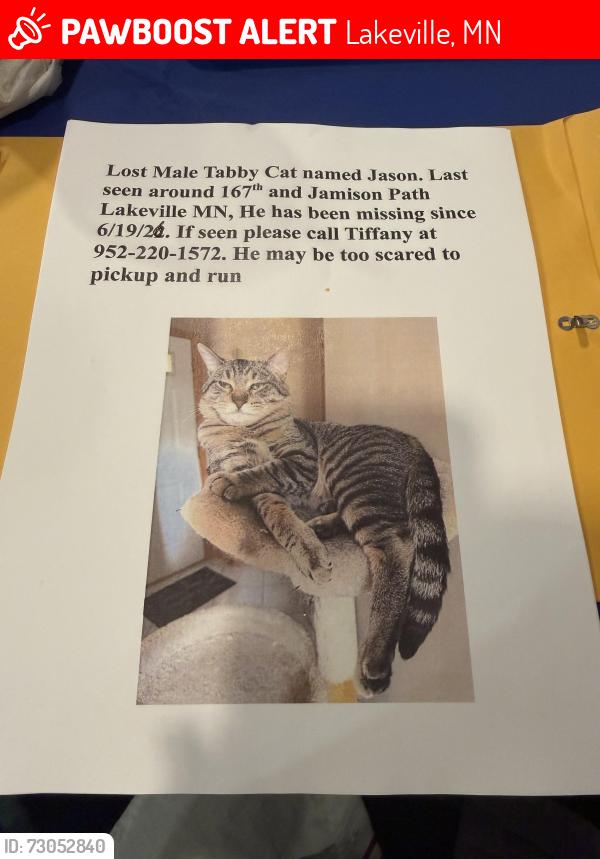 Lost Male Cat last seen Lakeville near Jamison Path, Lakeville, MN 55044