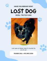 Lost Male Dog last seen Water Oaks Austell, Austell, GA 30106