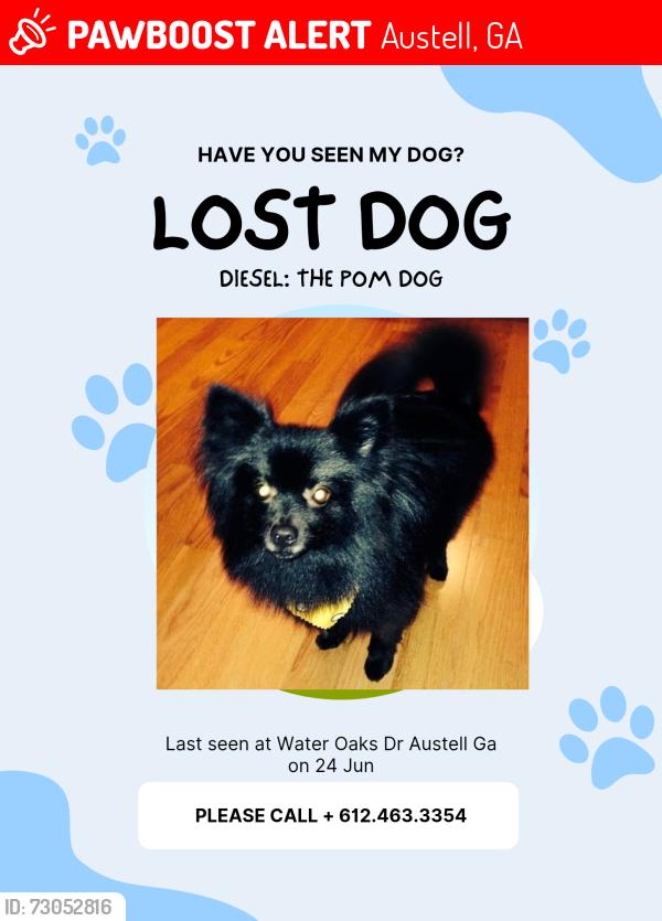 Lost Male Dog last seen Water Oaks Austell, Austell, GA 30106