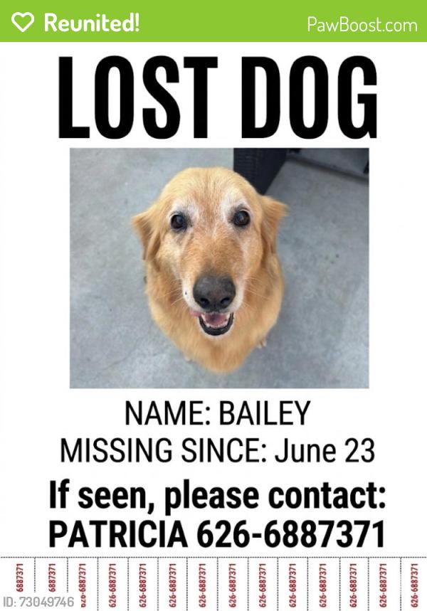 Reunited Female Dog last seen San Bernardino and mountain, Pomona, CA 91767
