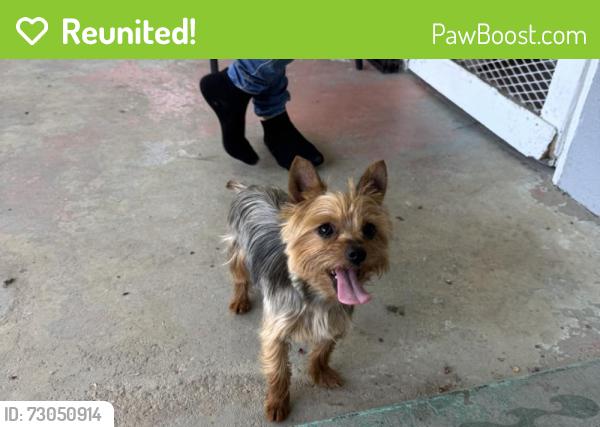 Reunited Male Dog last seen Wells , Riverside, CA 92503
