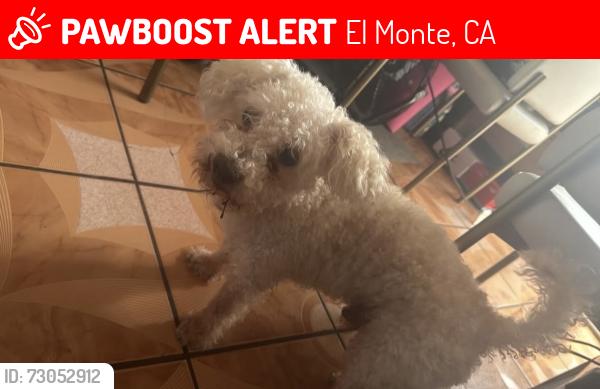 Lost Male Dog last seen Garvey and central , El Monte, CA 91733