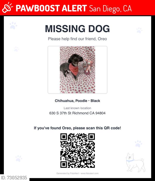 Lost Male Dog last seen Near South 37th Street apt 5 Richmond ca 94804, San Diego, CA 92113
