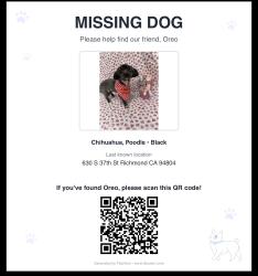 Lost Male Dog last seen Near South 37th Street apt 5 Richmond ca 94804, San Diego, CA 92113