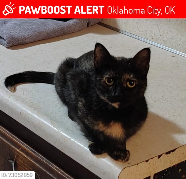 Lost Female Cat last seen SE 54th and Huddleston : Highland Park neighborhood, Oklahoma City, OK 73135