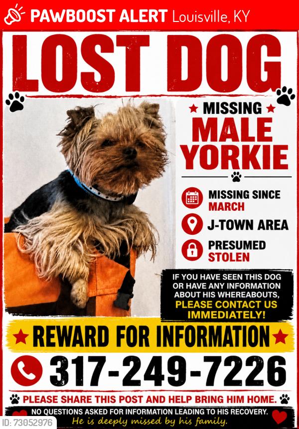 Lost Male Dog last seen Taylorsville Rd, Louisville, KY 40299