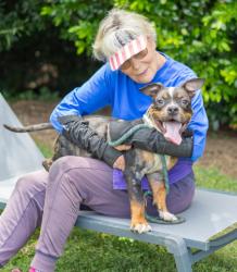 Shelter Stray Male Dog last seen Cutters Mill DR Lithonia ga 30058, 30058, GA, 3280 Chamblee Dunwoody Rd, Chamblee, GA 30341, USA