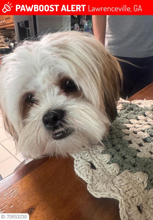 Lost Male Dog last seen Collins hill industrial, Lawrenceville, GA 30043