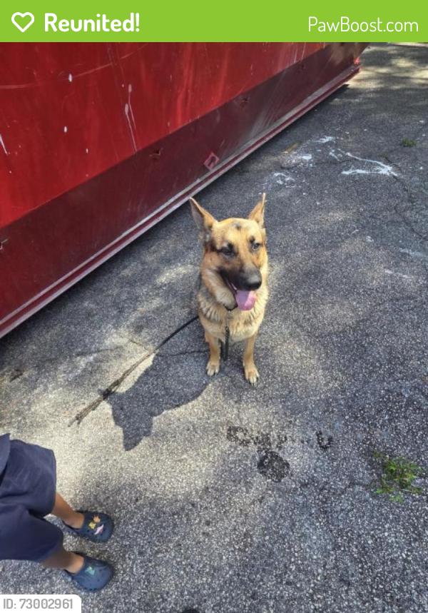 Reunited Male Dog last seen Near Highway 138 Stockbridge GA , Stockbridge, GA 30281