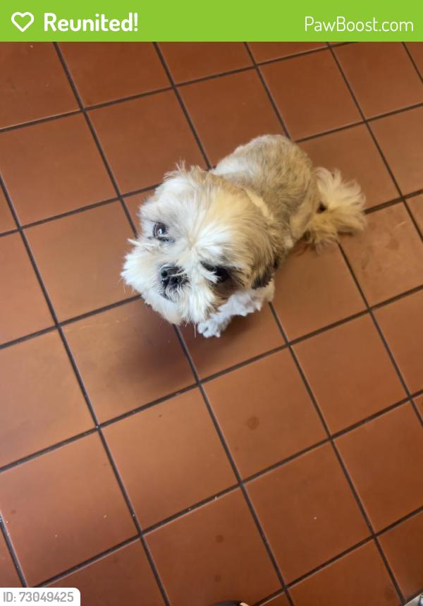 Reunited Unknown Dog last seen Near Long Beach Ave, by the Liquor Store, Los Angeles, CA 90011