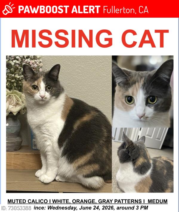 Lost Female Cat last seen Cypress Point Dr, Fullerton, Fullerton, CA 92833