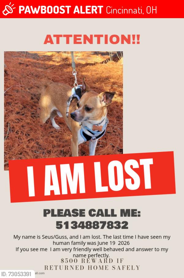Lost Male Dog last seen Near Ridge Ave, Cincinnati, OH 45237, Cincinnati, OH 45237