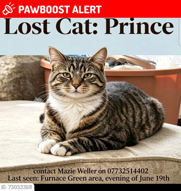 Lost Male Cat last seen Ashburnham Road , Furnace Green, England RH10