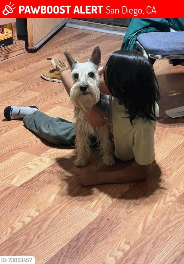Lost Male Dog last seen Blossom , San Diego, CA 92114