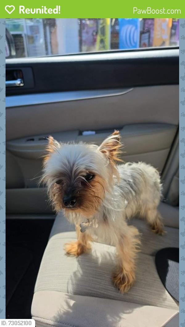 Reunited Male Dog last seen 76th & Saint Andrews, Los Angeles, CA 90047